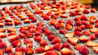 How to make Strawberries Chips in a Dehydrator