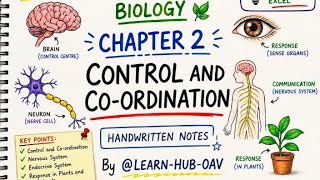 Class 10 science Biology Chapter 2 Control And Co Ordination Handwritten Notes By @LEARN-HUB-OAV#pk
