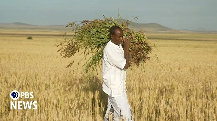 New farming techniques build food resilience in Ethiopia