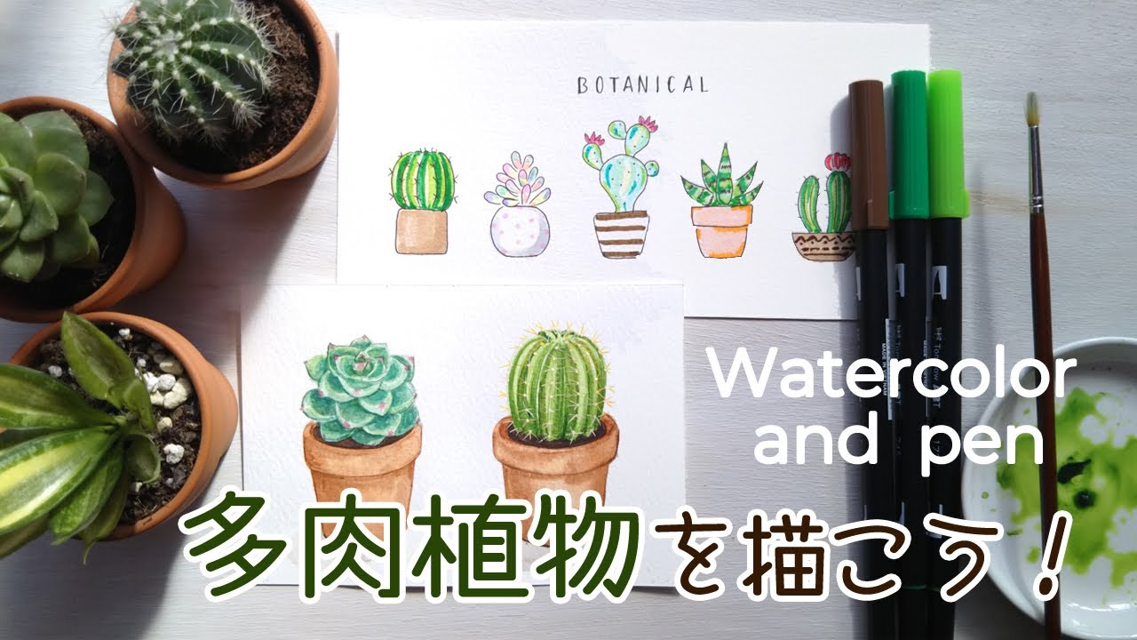 多肉植物の描き方 水彩と水彩ペン How To Draw Succulents In Watercolor Youtube