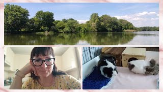 🐹Ketrec takarítás🧹🧽 🐹 a nagy döntés🤔 és a Tisza #VLOG