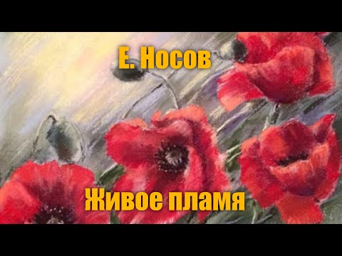 Е. Носов "Живое пламя"