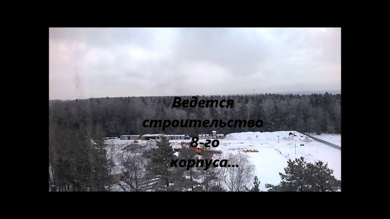 Мелодия мертвого леса спойлеры