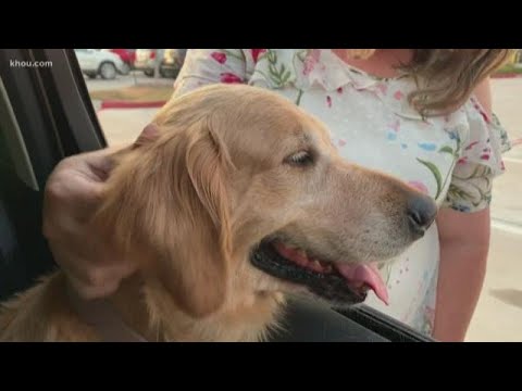 newspaper mockup Kids who took dog from family in Montgomery County say they meant no harm