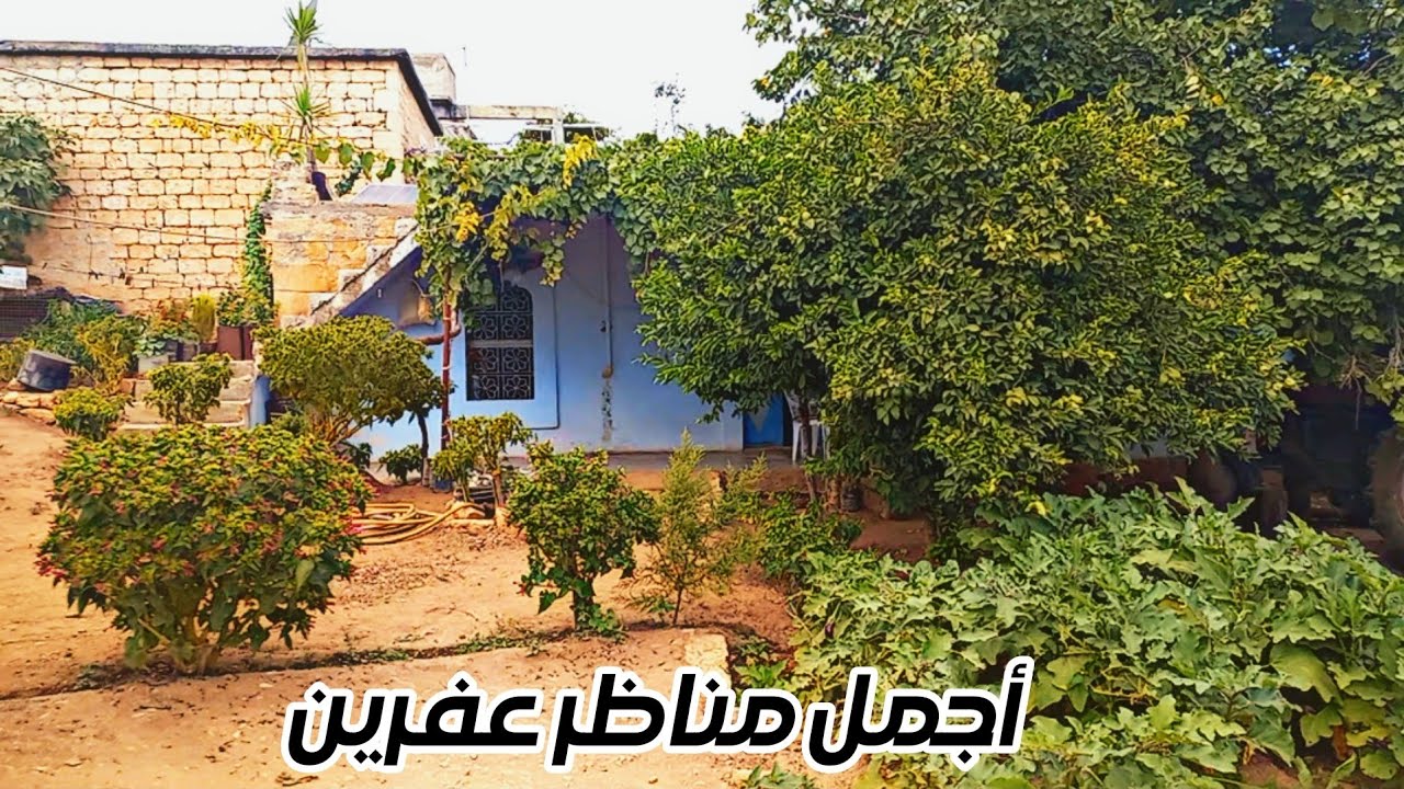 أجمل مناظر من تراث عفرين قرية معراتة🌿(بيت جدي)😍