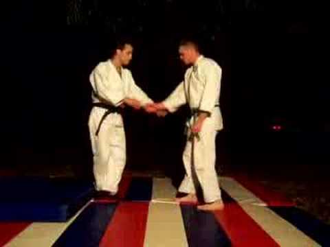 Shindoryu Aikijutsu - performing a wrist throw - l...