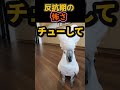 悪口はだめだよ。