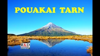 Pouakai Tarn | Mt Taranaki | Scenes of New Zealand