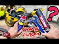 HOW TO LUBE A SUPERBIKE'S CHAIN ? DIY || Motorcycle Chain Maintenance Using WD40 & MOTUL Chain Lube