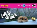 🔴 LIVE! All The Lucas The Spider Shorts | Cartoonito