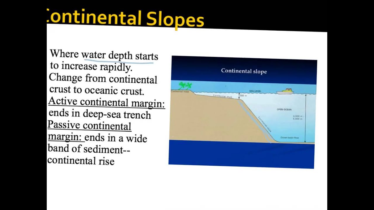 The Ocean Floor Earth Science Youtube