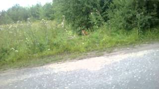 WP 20140801 003