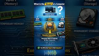 What is the 'brain' of a computer?