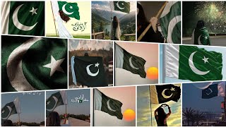 🇵🇰 Pakistan Flag DPs ❤️ | 14 August DP 🇵🇰 | Independence Day DPs 2026 | Pakistani DP Collection ✨ screenshot 1