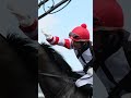 OUTLAW KING wins the De Grendel Cape Merchants