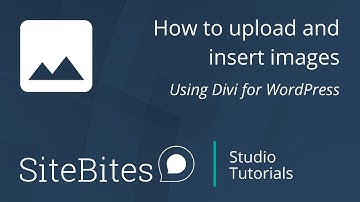3) Images: How to upload and insert images using Divi for WordPress