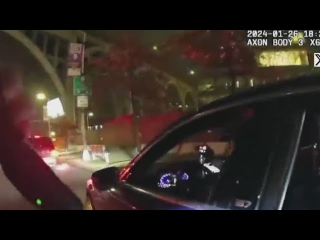 Video Shows Traffic Stop Of Councilman Salaam
