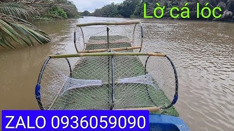 Lờ bẫy cá lóc, Bẫy cá lóc, Lờ cá cải tiến, lợp cá lóc, lợp bẫy cá cải tiến.