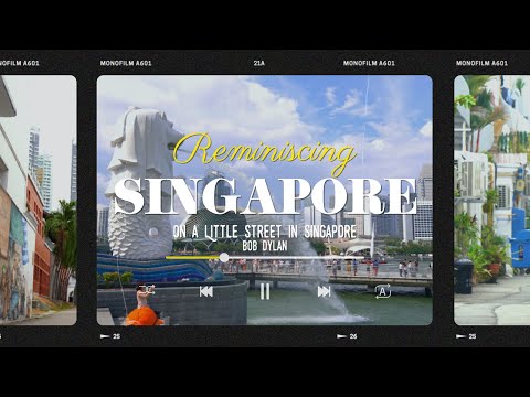 코로나 이전의 싱가포르 《On a Little Street in Singapore - <strong>Bob</strong> <strong>Dylan</strong>》 ［부산 MBC 좌충우돌 만국유람기］
