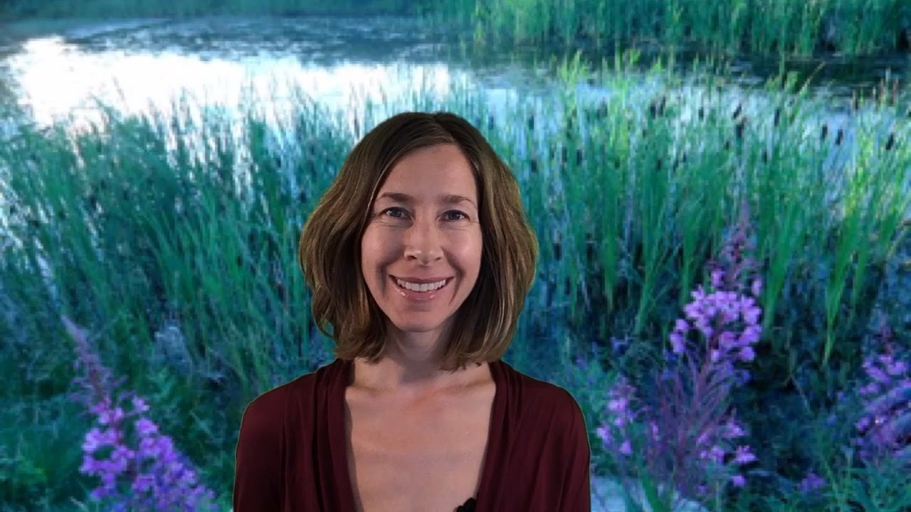 Detoxify and Replenish with the Moon Cycles