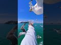 🌊🕊️ Beautiful Birds & Stunning Sea Views in China 🇨🇳✨ #amazingchina #beautifulchina #china # #asia