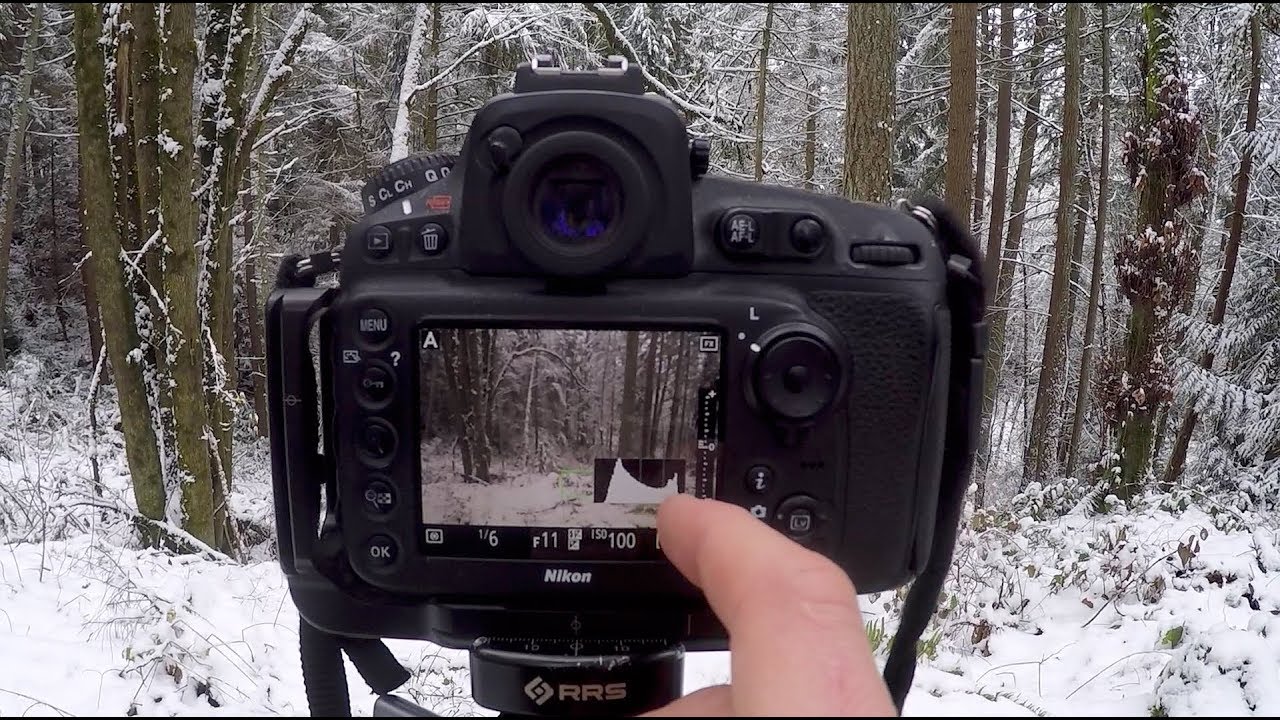 Back Button Focussing - What is it and should you be using it?