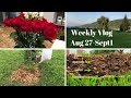 Weekly Vlog Aug 27-Sept 1