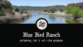 Blue Bird Ranch | +/- 170 Acres | Utopia, Texas