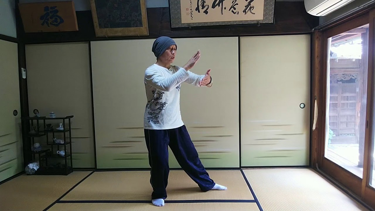 楊名 時太極拳 24式 | 太極拳 24 式楊名時動画 – VUXCT
