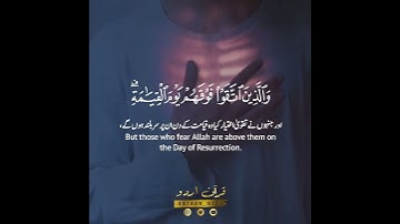 🎉زين للذين كفروا الحياة الدنيا🌐🍃 سورة البقرة:٢١٢|سعود الشريم|Surah al Baqarah:212|Saud al Shuraim