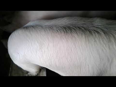 6 თვეზე ცოტა მეტის