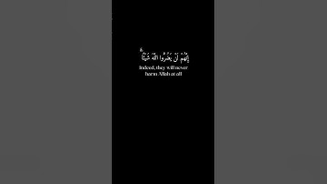 ولا يحزنك الذين يسارعون في الكفر  | القاري ء :  احمد العجمي  | كرومات سوداء القرآن الكريم