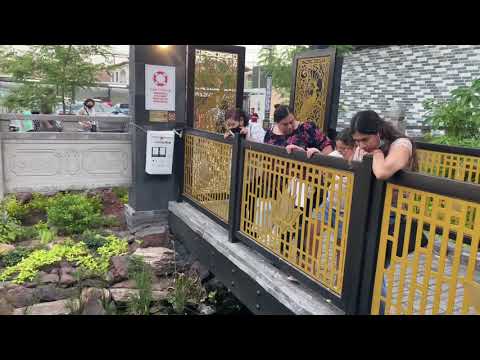 Restaurant Imperial Garden - Youtube