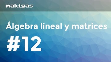 Álgebra lineal y matrices – 12. Matriz inversa con determinantes