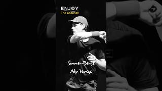 Sinner-Bergs Allatp Parigi Adesso