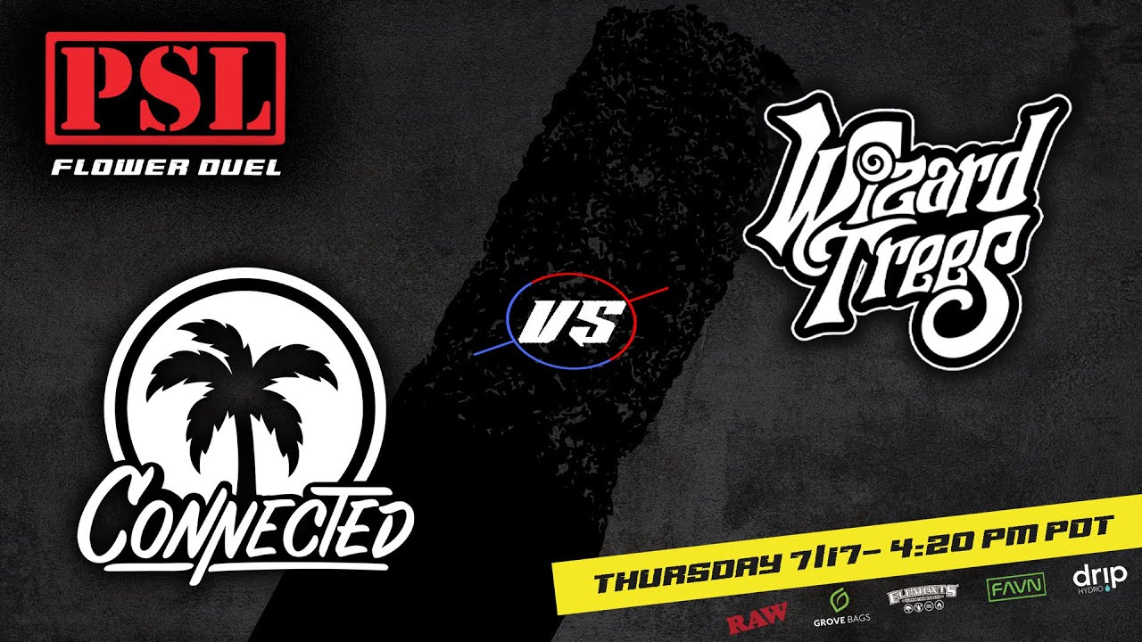 Сетка AZ: Полуфинал №2: Wizard Trees против Connected
