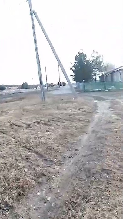 Весна в самом разгаре😂😅🙂😀😺 - YouTube