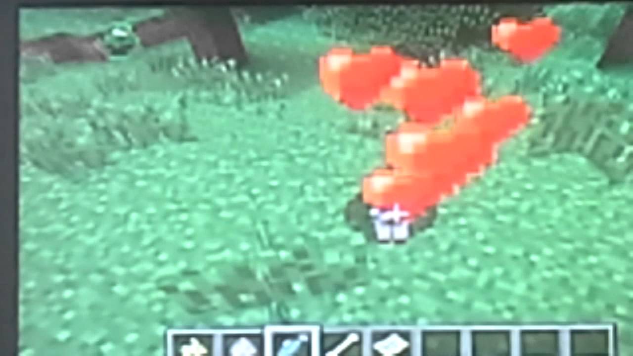 COMO DOMAR ocelote y lobo en minecraft ps3 - YouTube