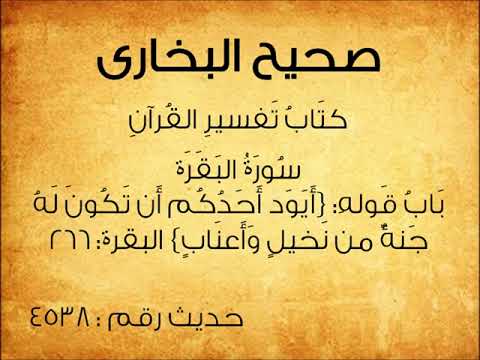 صحيح بخارى كتاب تفسير القرأن سورة البقرة باب ايود احدكم ان تكون له جنة من نخيل و اعناب حديث 4538