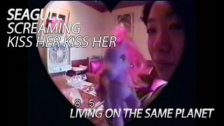 LIVING ON THE SAME PLANET / SEAGULL SCREAMING KISS HER KISS HER (Official Music Video)