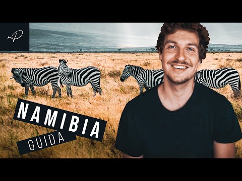 Video: Il periodo migliore per visitare il Botswana