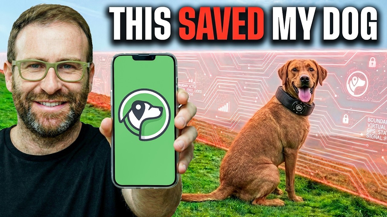 Best Invisible Dog Fence? The Answer Might Surprise You