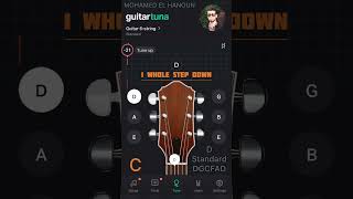 D Standard Tuning Guitar / 1 Step Down - Using GuitarTuna Free