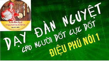 DẠY ĐÀN NGUYỆT ĐIỆU PHÚ NÓI CHO NGƯỜI DỐT CỰC DỐT CƠ BẢN 1