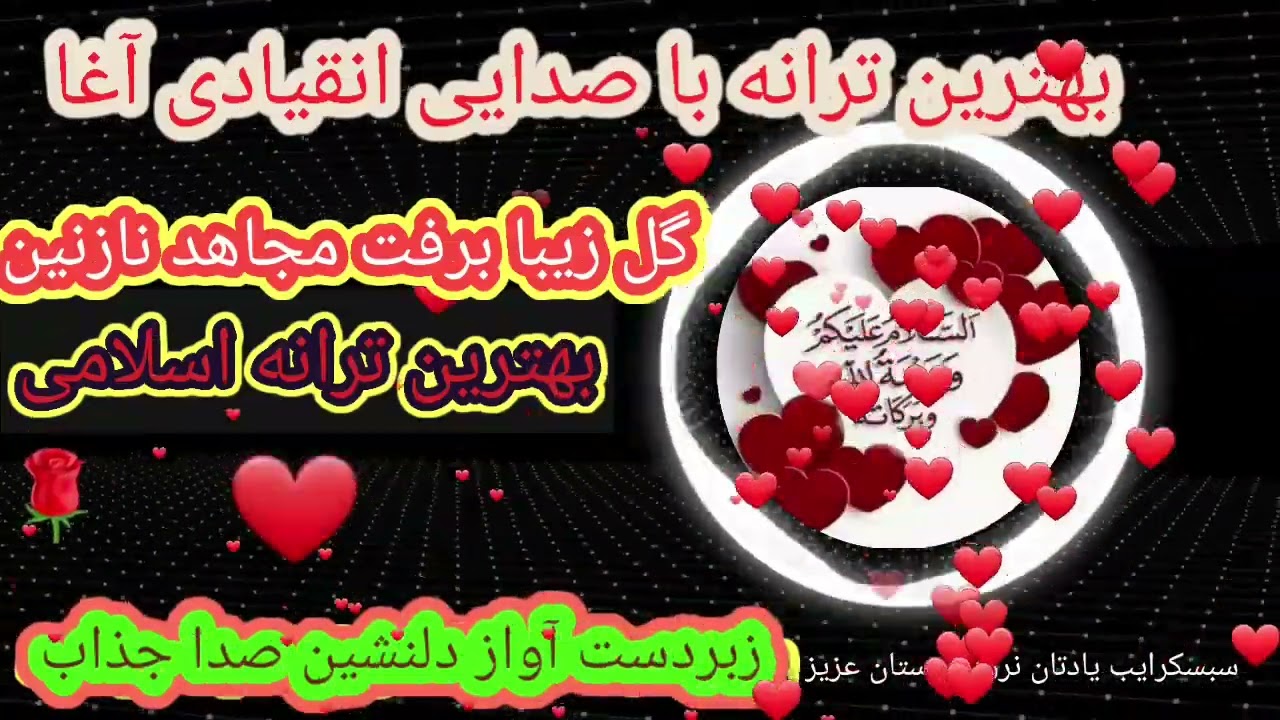 ❤بهترین ترانه جدید❤از انقیادی آغا گل زیبا برفت مجاهد نازنین❤|New Tarhna ba Sadae Enqehadi Agha|