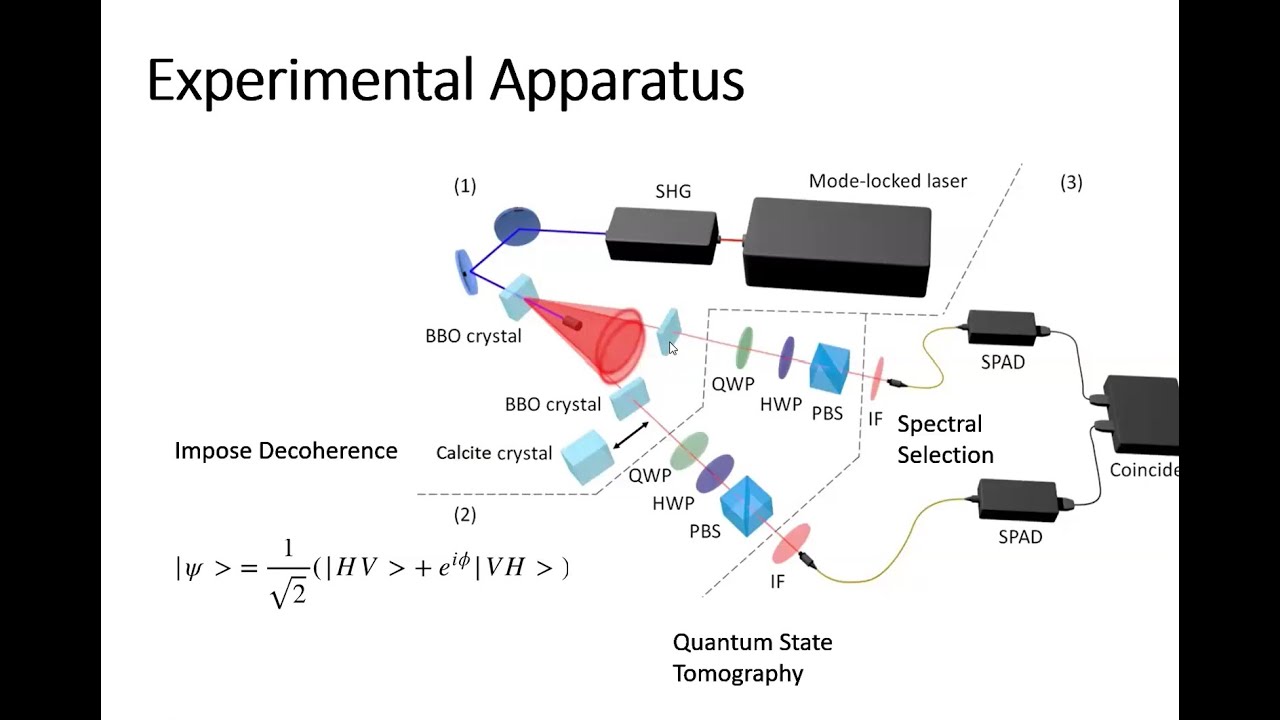 QISCA Joint Seminar 2024 Winter - Entanglement in Linear Optics