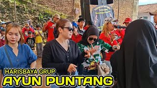 Harisbaya grup | lagu ayun puntang | kuda renggong terbaru