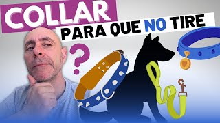 Qué COLLAR Utilizar para que mi PERRO NO TIRE ni LADRE