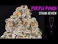 ANIMAL COOKIES STRAIN REVIEW! - YouTube