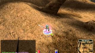 Bug Priston Tale!